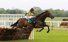 Longhouse Sale (Harry Skelton)