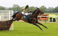 Longhouse Sale (Harry Skelton)