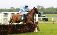 David 'Digger' Aldred Memorial Nov Hurdle