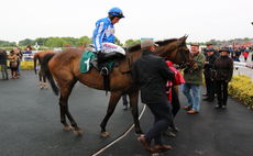 Proudland Novices Hurdle