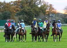 David Nicholson Fillies "Junior" NH Flat Race.