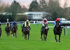David Nicholson Fillies "Junior" NH Flat Race.