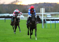 David Nicholson Fillies "Junior" NH Flat Race.