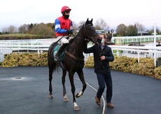 David Nicholson Fillies "Junior" NH Flat Race.