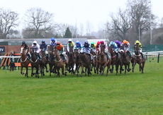 Cheltenham & South West Syndicate NH Flat Race.