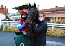 David Nicholson Fillies "Junior" NH Flat Race.