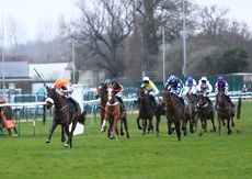 Cheltenham & South West Syndicate NH Flat Race.