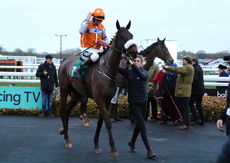 Cheltenham & South West Syndicate NH Flat Race.