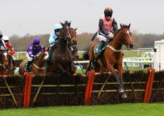 Wigley Group Juvenile Maiden Hurdle