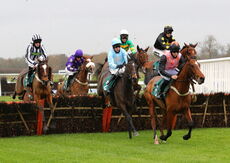 Wigley Group Juvenile Maiden Hurdle
