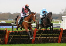 Wigley Group Juvenile Maiden Hurdle