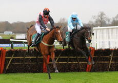Wigley Group Juvenile Maiden Hurdle