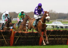 Wigley Group Juvenile Maiden Hurdle