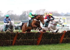 Racing TV Juvenile Hurdle
