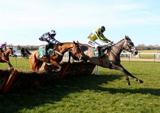 British Stallion Studs EBF 'NH" Novices Hurdle.