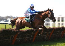 racingtv.com Maiden Hurdle