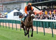 McCoy Contractors Classic Handicap Chase
