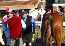 Overbury Stud Air Wedding Hunters Chase