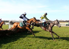 British Stallion Studs EBF 'NH" Novices Hurdle.