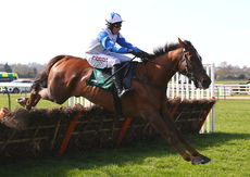 racingtv.com Maiden Hurdle