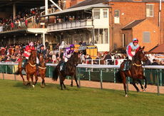 British Stallion Studs EBF Mares' Standard Open NH Flat race.