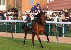 British Stallion Studs EBF Mares' Standard Open NH Flat race.
