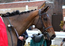 Hazel Hill