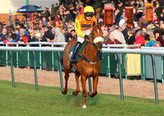 British Stallion Studs EBF Mares' Standard Open NH Flat race.