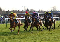 British Stallion Studs EBF Mares' Standard Open NH Flat race.