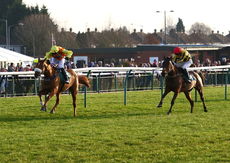 British Stallion Studs EBF Mares' Standard Open NH Flat race.