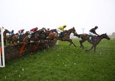 E.L. Jackson H'cap Hurdle.
