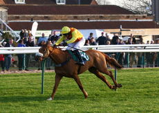 British Stallion Studs EBF Mares' Standard Open NH Flat race.