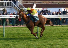 Yeavering Belle (David Bass)
