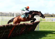Sloane Helicopters Novices' Hurdle