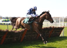 racingtv.com Maiden Hurdle