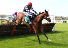 Coventry City Football Club Maiden Hurdle Div 1