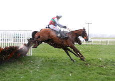 E.L. Jackson H'cap Hurdle.