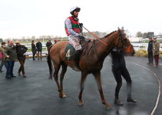 E.L. Jackson H'cap Hurdle.