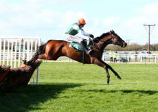 Sloane Helicopters Novices' Hurdle