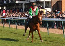 racingtv.com Juvenile Hurdle