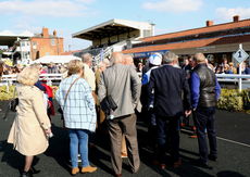racingtv.com Maiden Hurdle