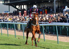 racingtv.com Juvenile Hurdle