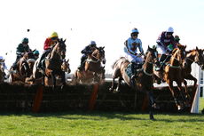 racingtv.com Juvenile Hurdle