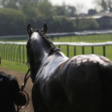 Warwick Easter Monday.