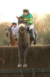 Mr Mole (AP McCoy)
