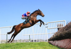 Kadalkin (Tom Scudamore)