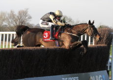 Betfred Hampton Nov Chase.