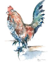 Dandy (currently out of stock)