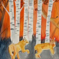In Aid of the Lynx Rescue team in Russia