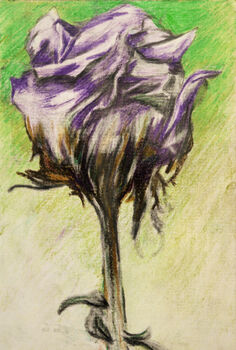 A Simple View, 2022, 11.5cm x 18cm, coloured pencils